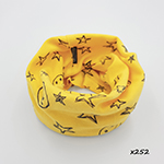 х252